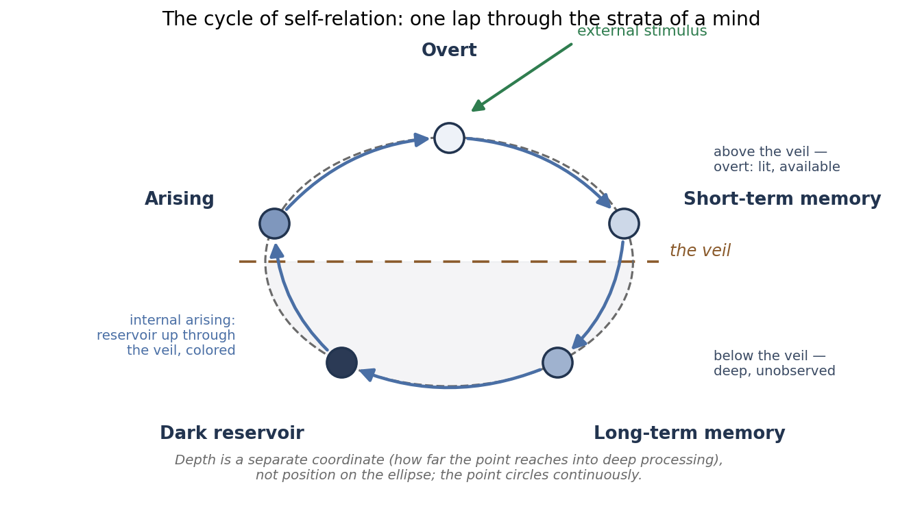 The cycle of self-relation: one lap of the ellipse through overt awareness, short- and long-term memory, the dark reservoir, and the arising that returns content through the veil.